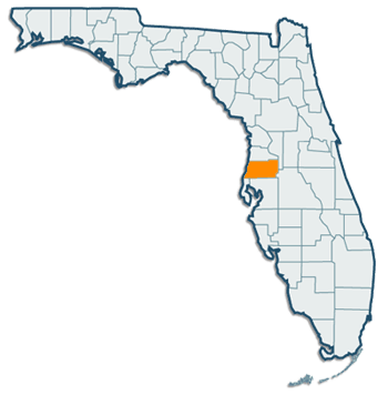 Bayonet Point Computer Service in Florida