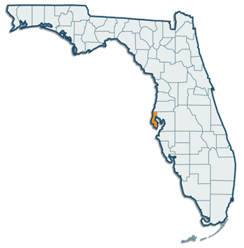 Lealman Computer Service in Florida
